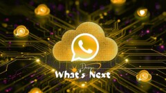 Whatsapp-Business-Explainer-1 Custom Api Integration