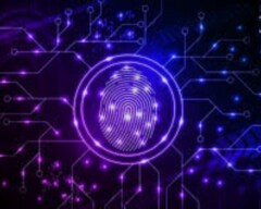 Dynamic Brand Systems Dynamic Brand Systems