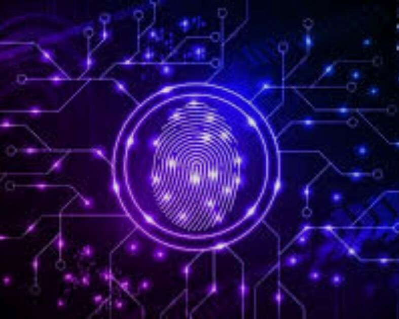 Dynamic Brand Systems Dynamic Brand Systems